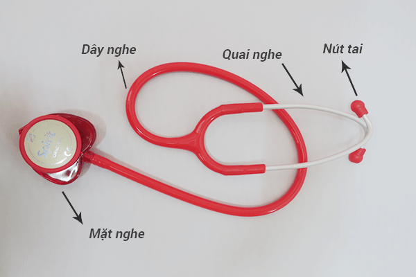 Chi tiết ống nghe