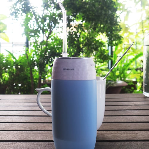 Máy tăm nước cầm tay ROAMAN Mini 1