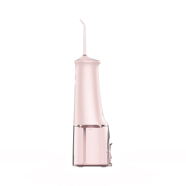 Máy tăm nước cầm tay ROAMAN W10