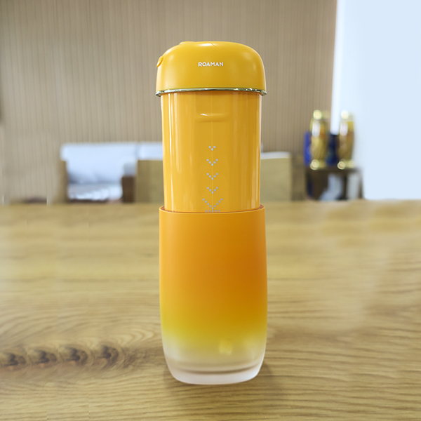 Máy tăm nước cầm tay ROAMAN Mini 8
